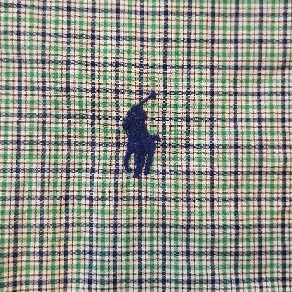Polo Ralph Lauren Mens Large Green Navy Blue Micro Check Button Down Shirt L/G